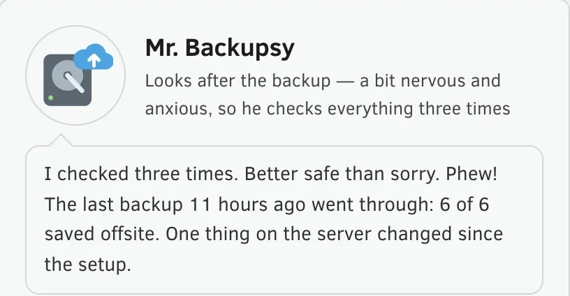Mr. Backupsy in his speech bubble: “I checked three times. Better safe than sorry.”